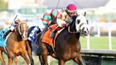 Just Steel Exits Preakness With Injury, To Be Evaluated At Rood & Riddle