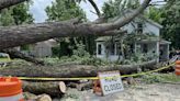 GoFundMe organized to help LaBarge Street woman with fallen tree