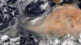 Concentraciones de polvo del Sahara afectarán sur de Guatemala - Noticias Prensa Latina