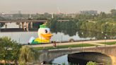 Oregon Ducks Shock Big Ten With Massive Inflatable Duck In Indianapolis River