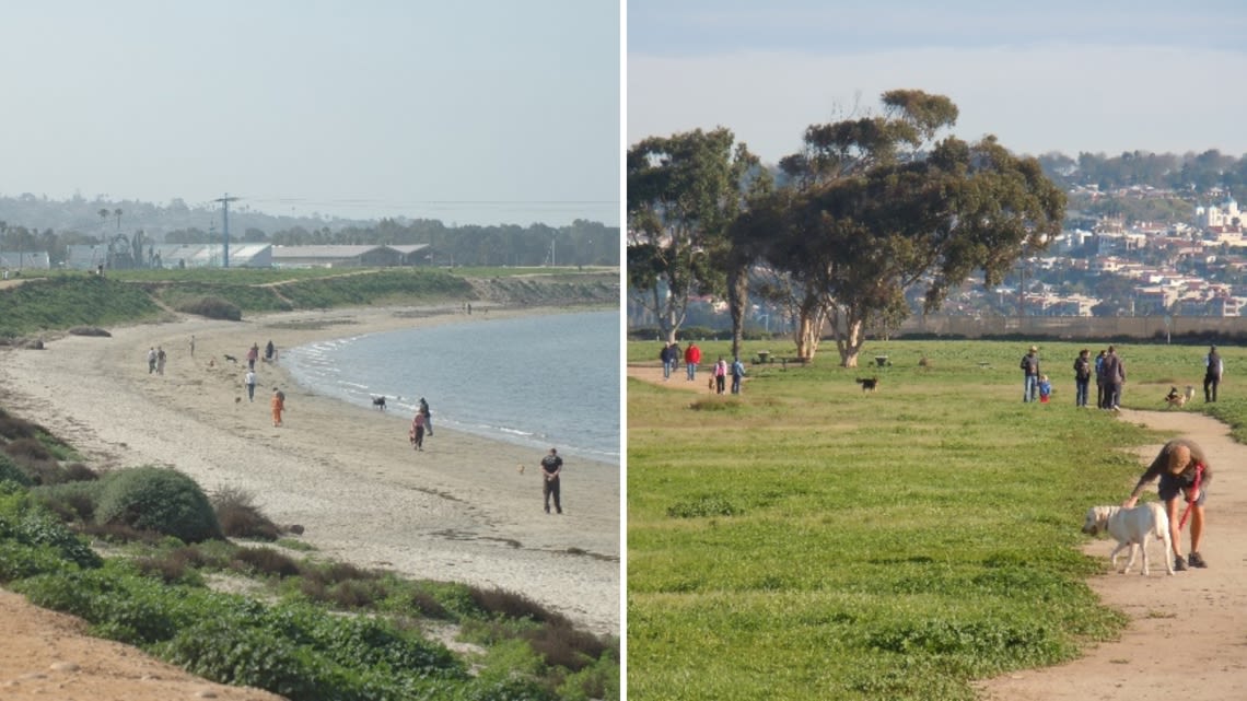 This San Diego dog park was named best in America