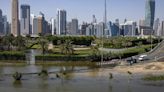 Floods and climate change blamed for surge in dengue in the Emirates as WHO warns of global spike