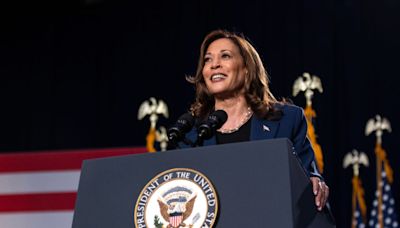 ¿Kamala Harris tiene el tiempo suficiente para una campaña electoral exitosa? Lo analizamos en Línea de Fuego