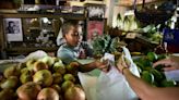 Soberanía alimentaria en Puerto Rico, la más reciente batalla de activistas en el Congreso en medio de la discusión por SNAP - El Diario NY