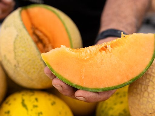 Los Angeles Is Obsessed With These Cult Seasonal Melons