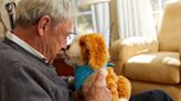 Older New Yorkers get more anti-loneliness robot pets