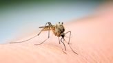 West Nile virus detected in Ottawa County