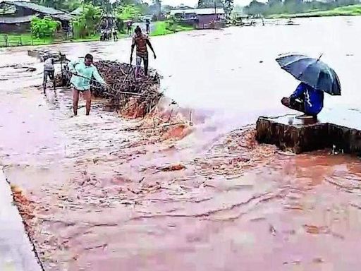 Heavy rains lash some Gujarat districts; Porbandar taluka gets 565 mm in 36 hours