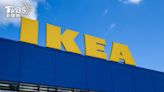IKEA嘉義店拍板！搶先釋7職缺 在地人嗨翻：終於