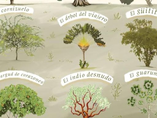 Colección de libros infantiles sobre árboles nativos de Costa Rica declarada de interés cultural