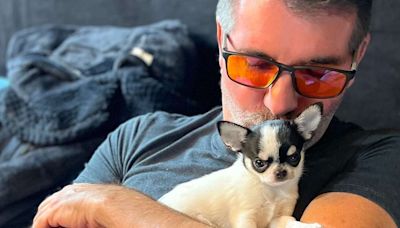 Simon Cowell Says He's 'Just Fallen in Love’ as He Cuddles Adorable Black and White Puppy