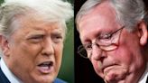 Trump nearly torpedoed his own stimulus package to get revenge on Mitch McConnell after the 2020 election, book says