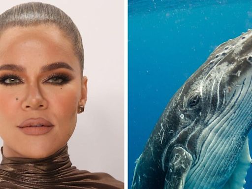 Khloe Kardashian suspects her children are using whale drawings to make fun of her