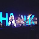 Hawk Nelson