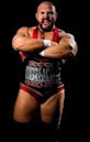 Michael Elgin