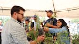 Acudieron casi 2 mil ciudadanos por sus arbolitos al Centro