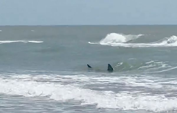 Shark attack victims describe July Fourth incidents at South Padre Island