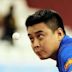 Wang Hao (table tennis, born 1983)