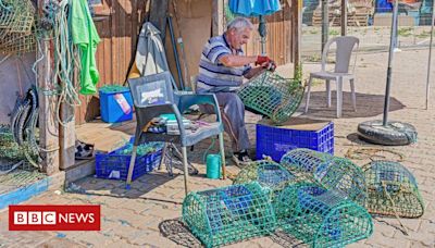 Os pescadores de polvos que estão ajudando a proteger o maior recife de corais de Portugal