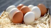 Understanding Egg Carton Labels: What Different Seals and Certifications Mean