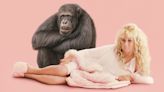 How to watch HBO’s new ‘Chimp Crazy’ episode for free | Episode 4