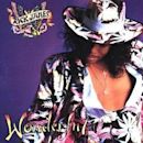 Wonderful (Rick James album)