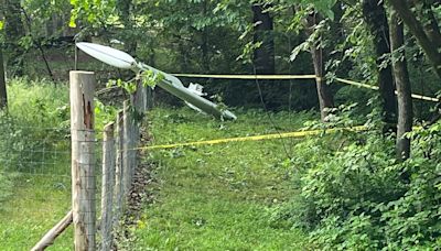 Plane registered to Louisiana doctor crashes in Williamson County, killing 3, officials say