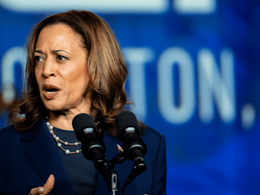 Harris was the border czar. Democrats and the media can’t erase that.