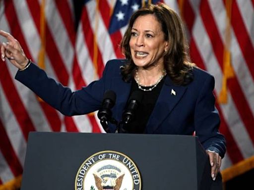 Market expert says the Kamala Harris-backed unrealized capital gains tax would be an 'unmitigated disaster'