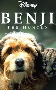 Benji the Hunted