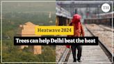 Delhi weather: Trees can help Delhi beat the heat