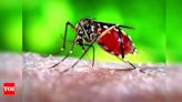 Government aims to make Gujarat malaria-free by 2030 | Ahmedabad News - Times of India