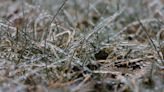 Freezing rain: It will start in the sky as snow, melt as it falls, then freeze on the ground