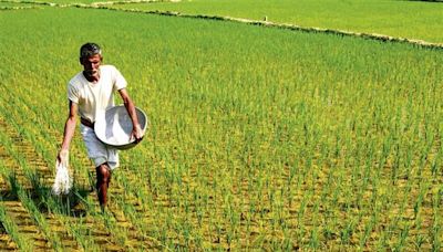 Insurance firms selected to provide relief to farmers