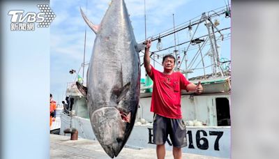 屏東第一鮪真身曝光！目測超過250kg 船長爽喊：像中樂透│TVBS新聞網