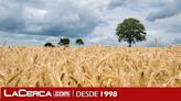 Agroseguro inicia el pago de indemnizaciones a productores de cereal con 49 millones de euros, 9,3 de ellos en C-LM
