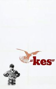 Kes (film)