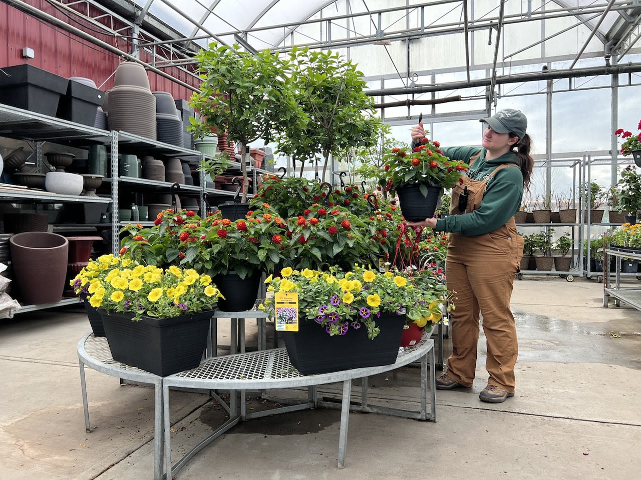 Chilly weather driving down plant sales, say Calgary greenhouses