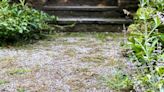 White vinegar and salt need one other kitchen item to kill gravel weeds for good