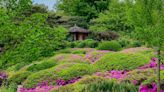 The 12 Most Beautiful Botanical Gardens in the US