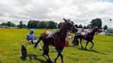 Exciting day for Hellifield Harness Racing annual fixture