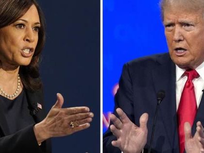 Donald Trump anuncia ausencia en debate con Kamala Harris