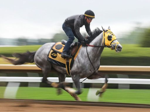 West Saratoga jockey, trainer, odds and more to know about Kentucky Derby 2024 horse