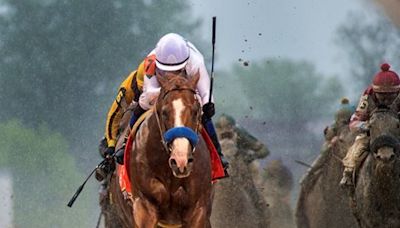 Justify, Gun Runner, Rosario Join Hall of Fame