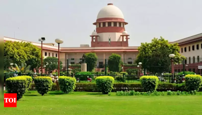 Should've been told on first day LG gave order to cut trees: SC on tree felling in ridge | Delhi News - Times of India