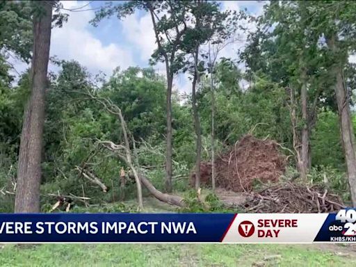 Severe weather rolled across the area Friday night, leaving damage in Northwest Arkansas and the River Valley