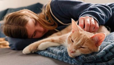 New Study Shows Surprising Link Between Cat Parents and Serious Mental Disorder