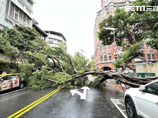 凱米成8年首登陸強颱！台北市災情統計 10件受傷通報「1員警傷狀況曝」