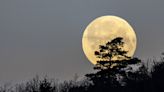 Luna del Gusano: la luna llena de marzo será la más grande y brillante de 2023 hasta ahora