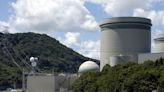 Dos reactores nucleares adicionales podrán operar hasta los 60 años en Japón